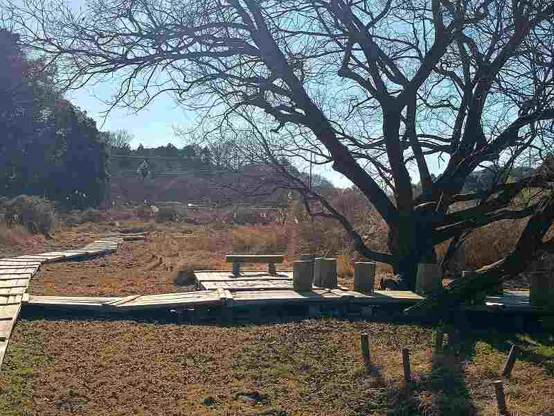 画像を挿入してください